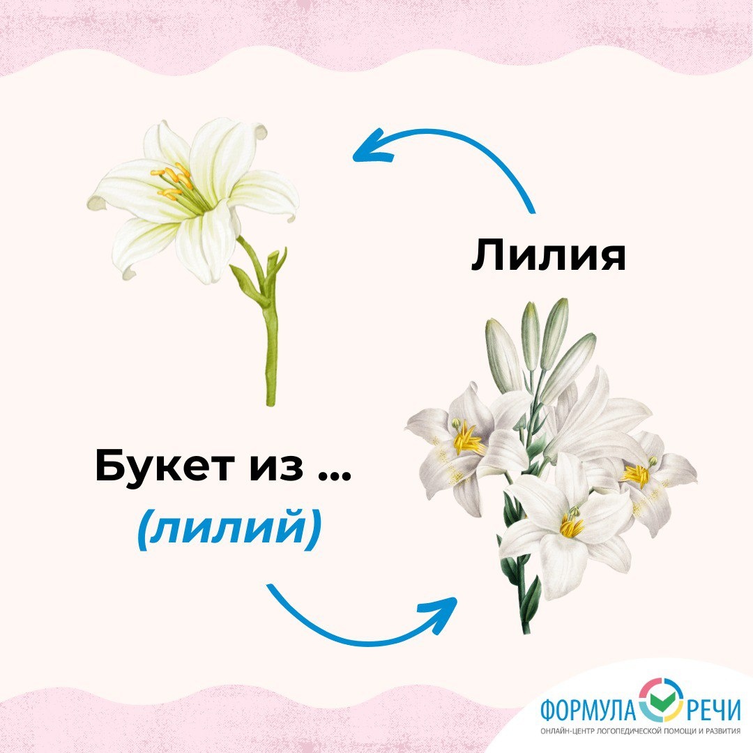 Активизируем словарный запас на тему "цветы" и учимся употреблять существительное в родительном падеже множественного числа.