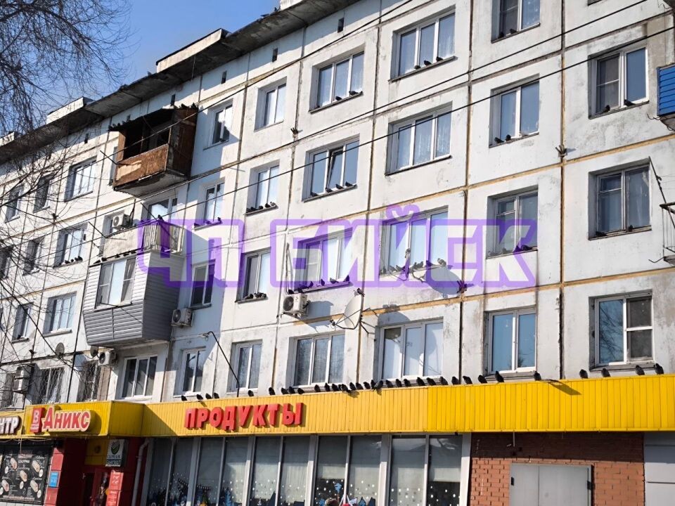    Голуби на окнах. Источник: "ЧП Бийск"