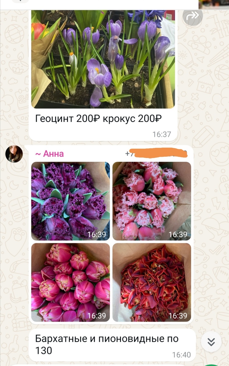 Предложение в местном чатике)) 