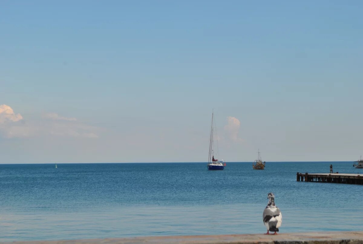    Псковичи вновь смогут отправиться в Евпаторию на поезде без пересадок