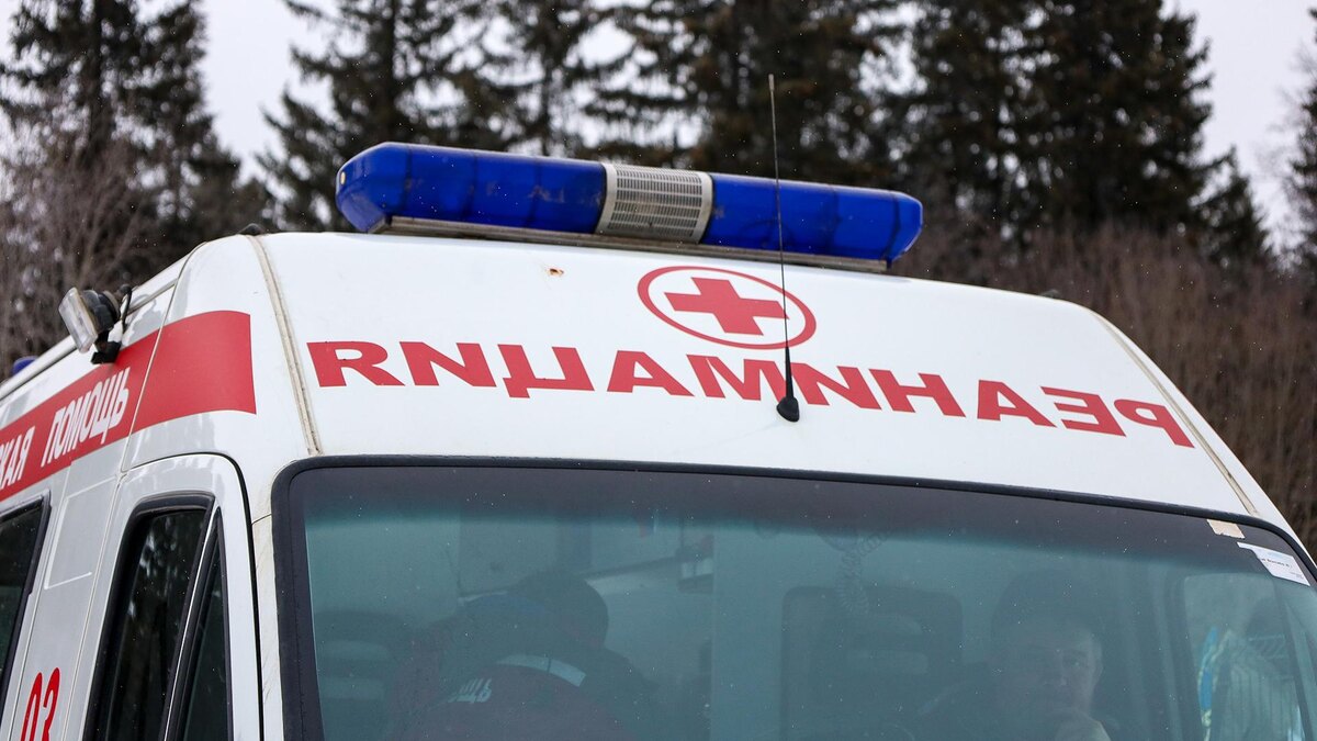    Фото: Elena Mayorova/globallookpress.com