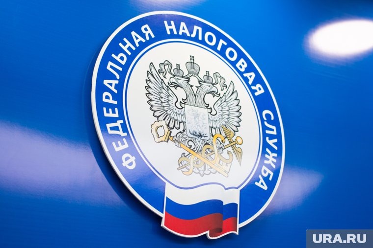    Россияне, которым удалось подать заявление, не могут отследить его статус в приложении ФНС