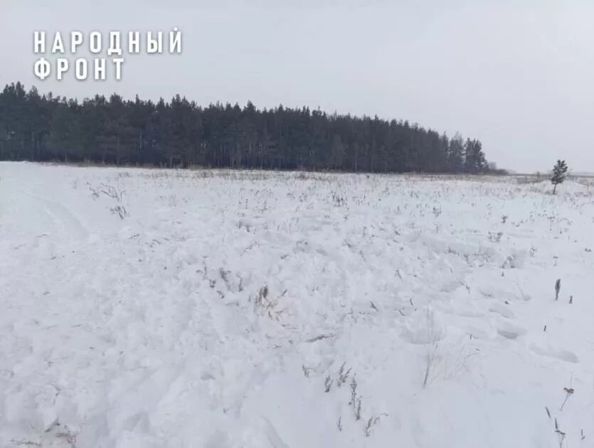 Фото: Народный фронт в Челябинской области