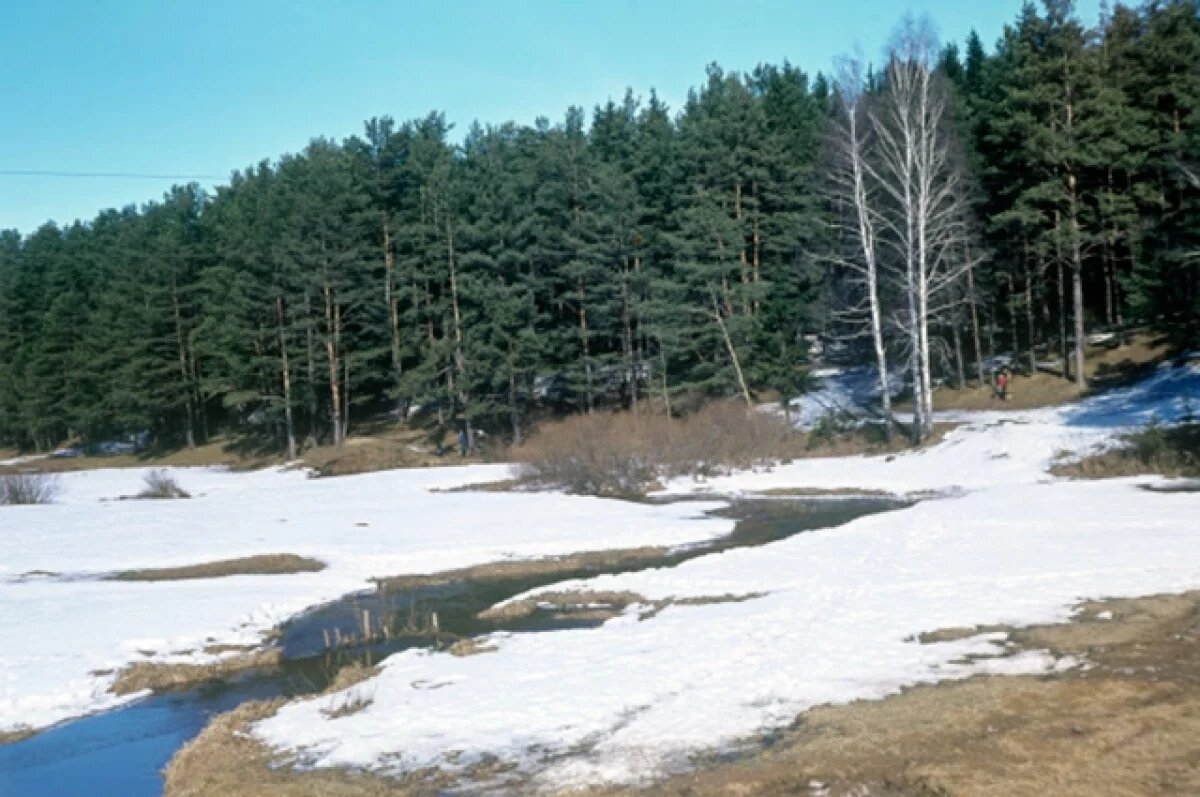    Пожароопасный сезон в Рязанской области в 2025 году начнётся 15 марта