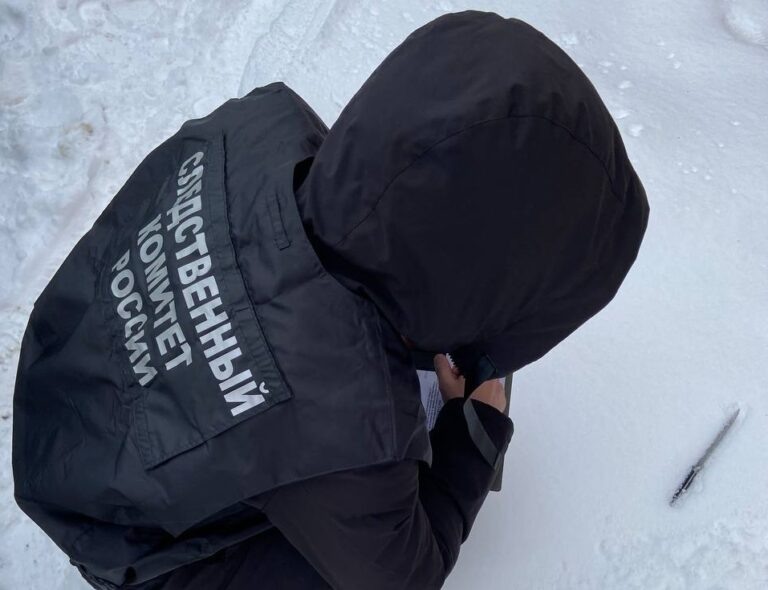    Набросился с ножом на улице Марии Корецкой. Жителя Новотроицка будут судить за хулиганство Кристина Просвиркина