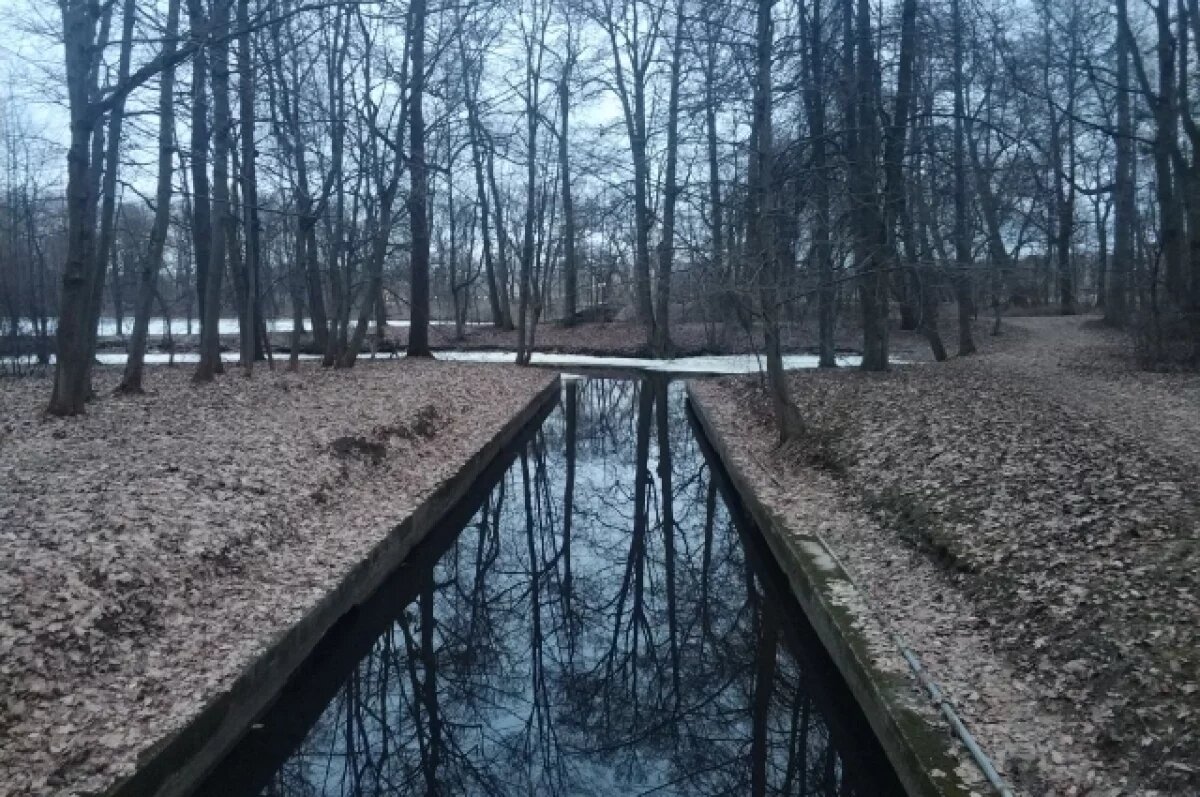    В Новосибирске усилена подготовка к паводку из-за теплой зимы