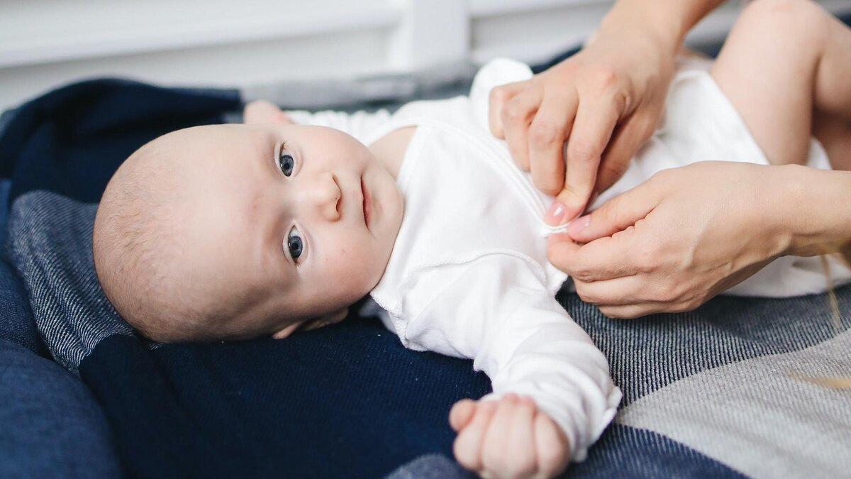    Фото: pexels.com