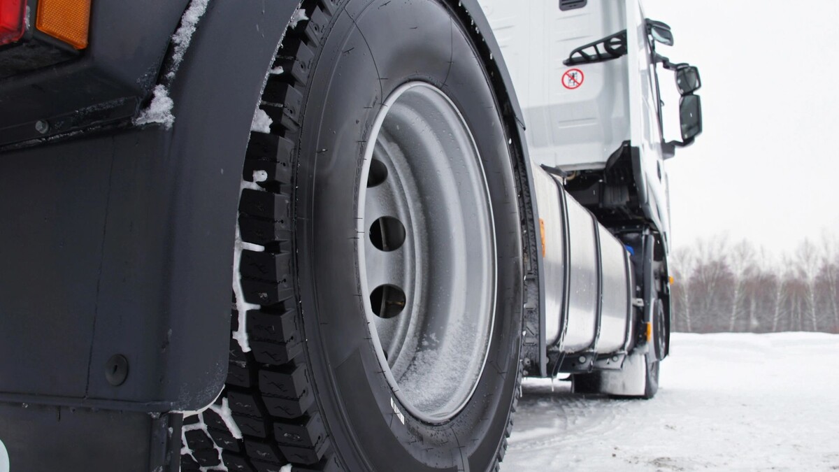    Фото: Vereshchagin Dmitry/Shutterstock/Fotodom