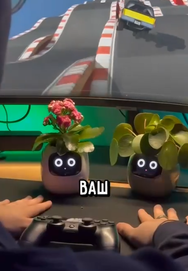 Милые малыши с разными "прическами" 