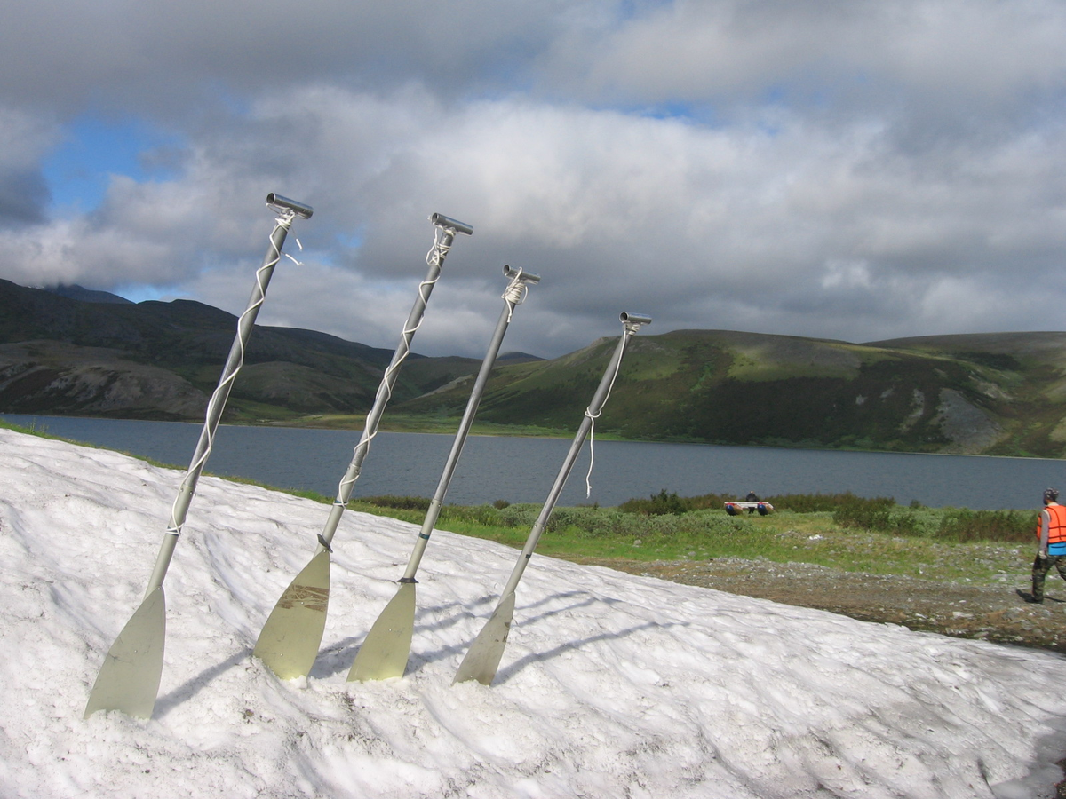 Лето в тундре. Фото Марина Сизова, с канала https://dzen.ru/barkentina