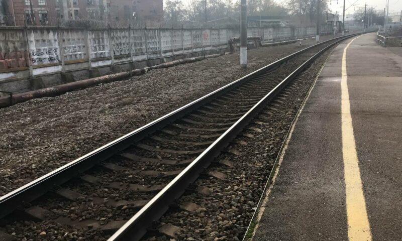    Фото «Кубань 24»