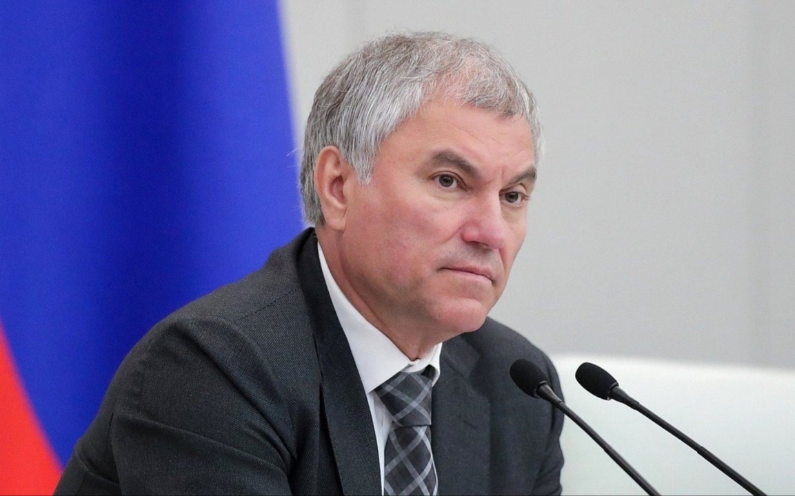    Володин раскритиковал противников проекта об умерщвлении бездомных животных