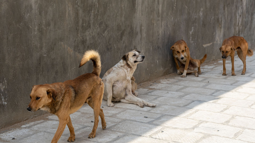   Gettyimages.ru Maria Tsegelnik / 500px