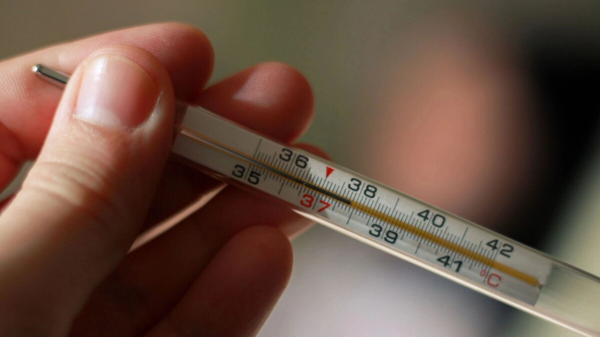    Фото: MoonSplinters/Shutterstock/Fotodom