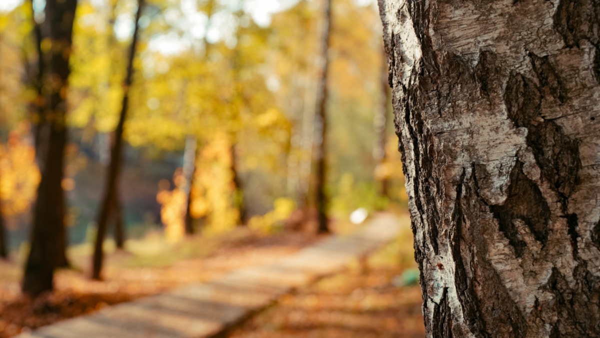 Светлана Мулыкина📷
