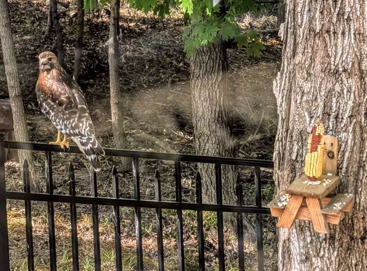 Источник: Woodbobber/reddit