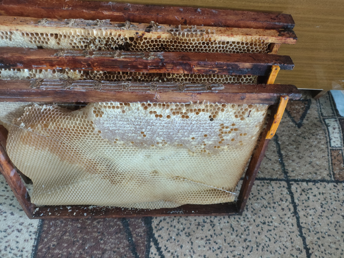 Несколько рамок, где на каждой не больше полкило меда.