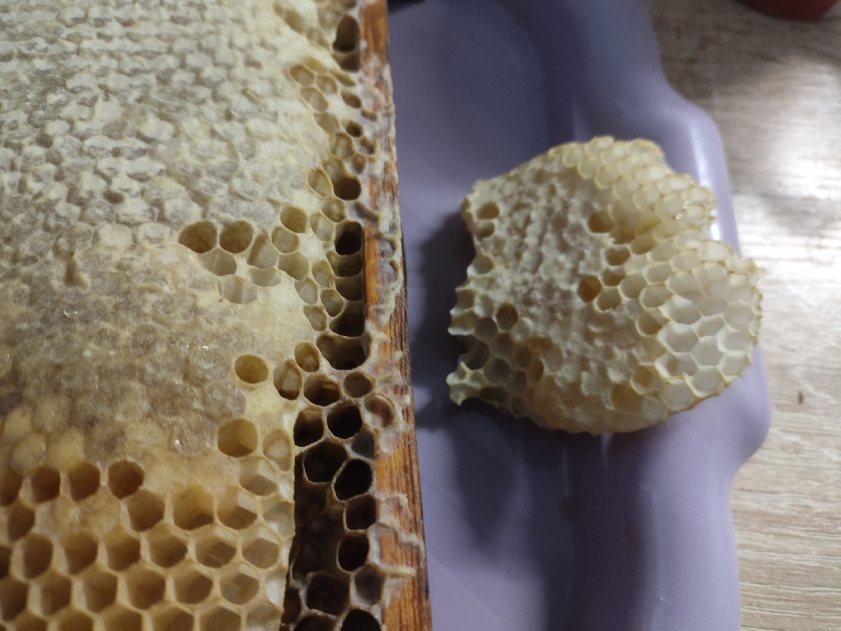 Рамка с медом и довесок, тоже с медом