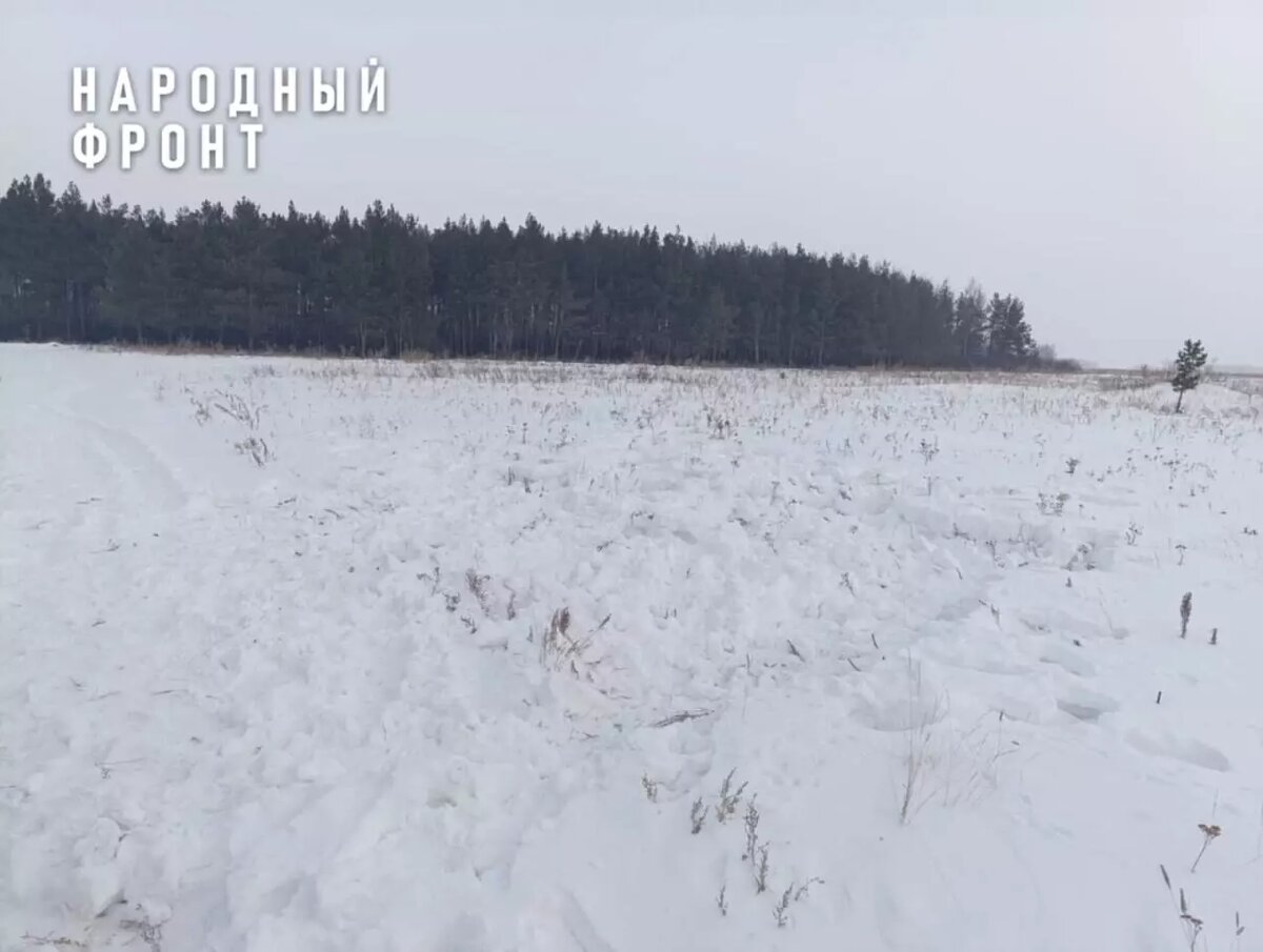     Источник: региональное отделение Общероссийского народного фронта