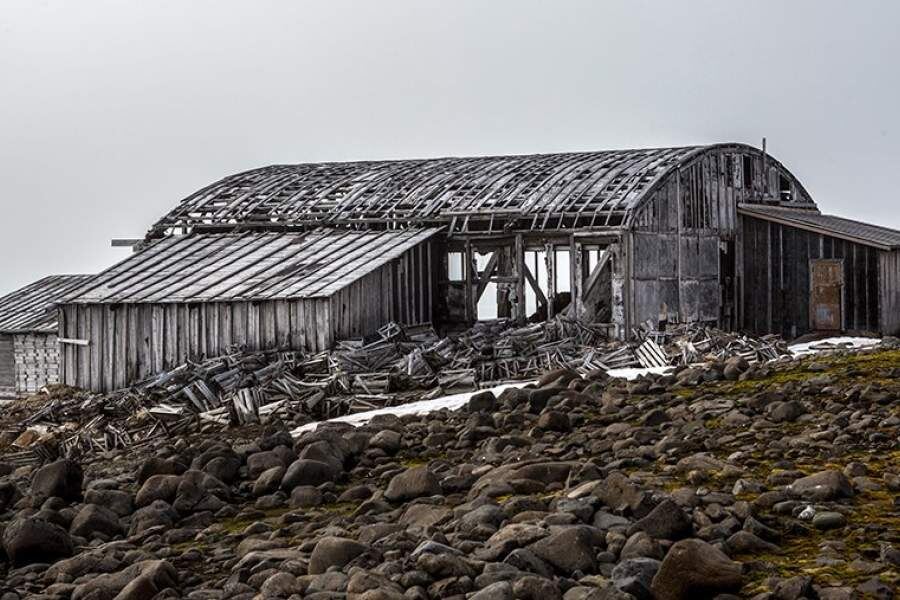 Яндекс.Картинки