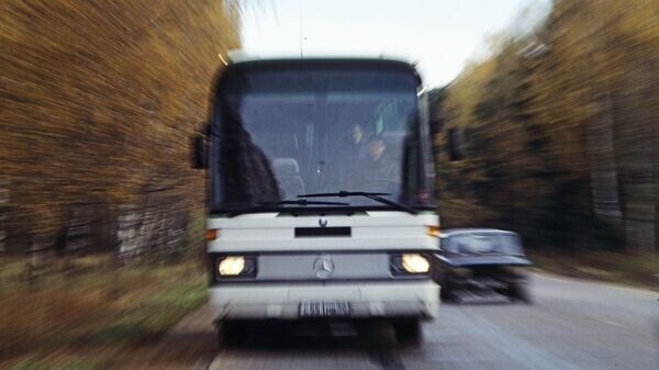    © Sputnik / Андрей Соломонов