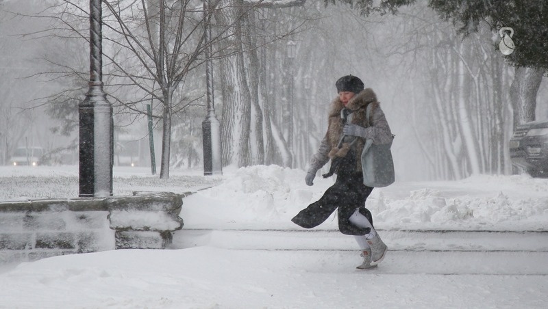      Фото: ИА «Победа26»