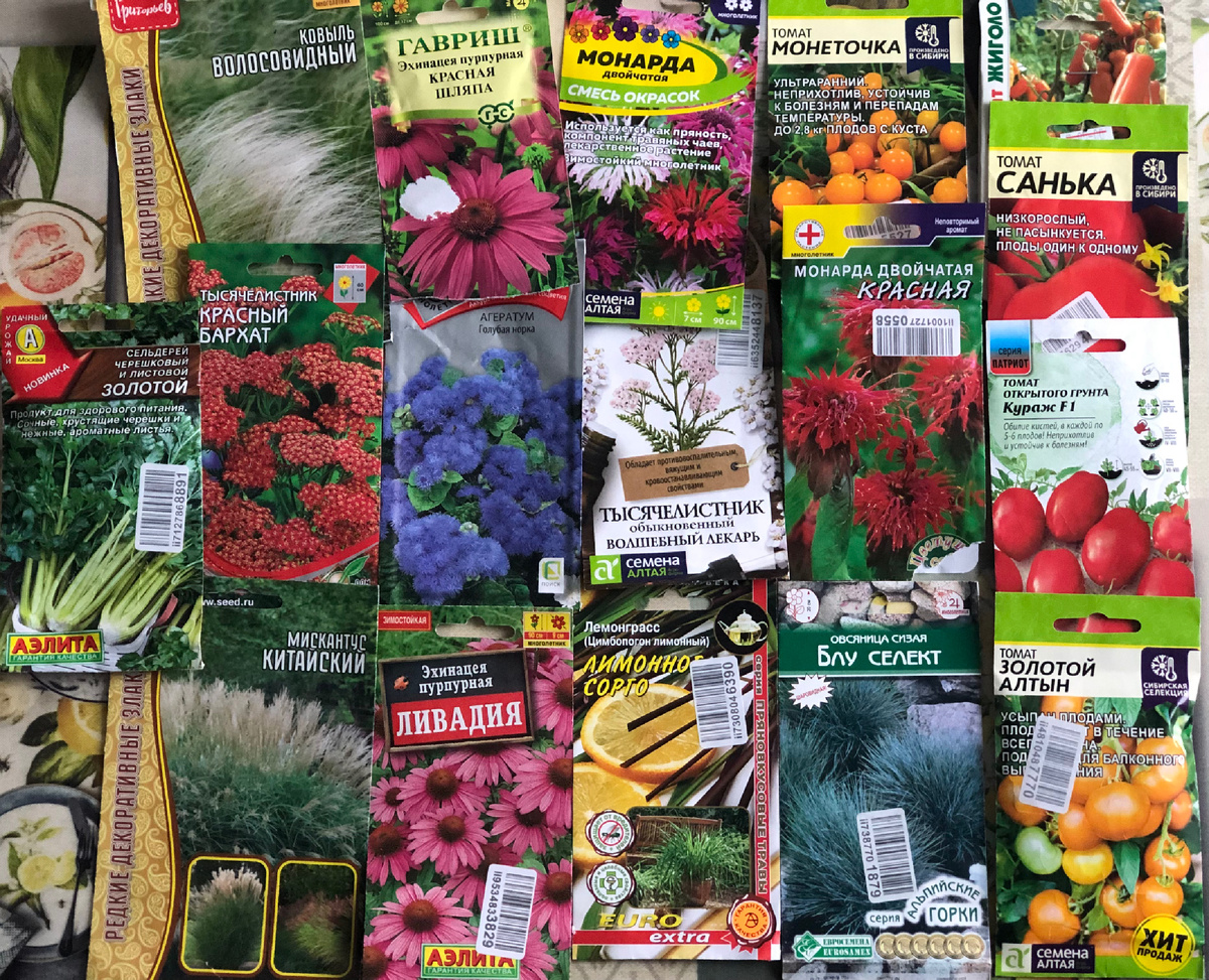 Начало положено