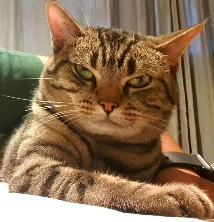 Фото из Интернета.