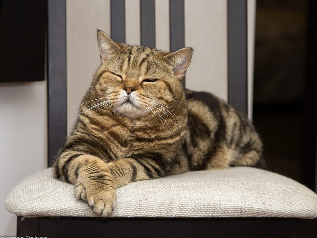 Фото из Интернета.