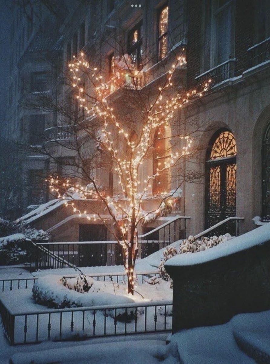 Фото взято из «Яндекс картинки». 