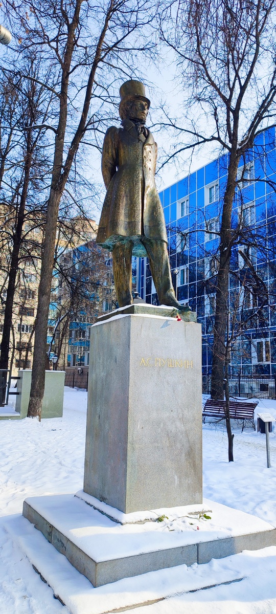 Торжественное открытие памятника состоялось 6 июня 1993 года, в день рождения поэта.