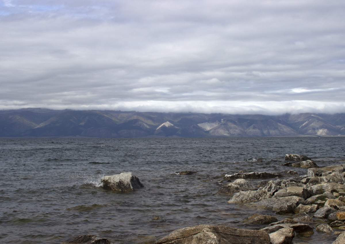 Фото © «Московская газета»