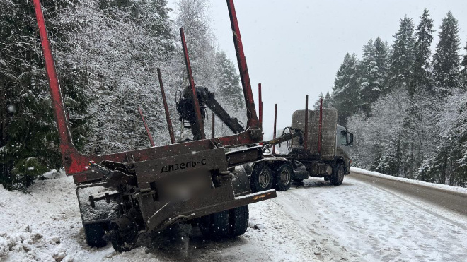 Фото: ГУ МВД по Петербургу и Ленинградской области