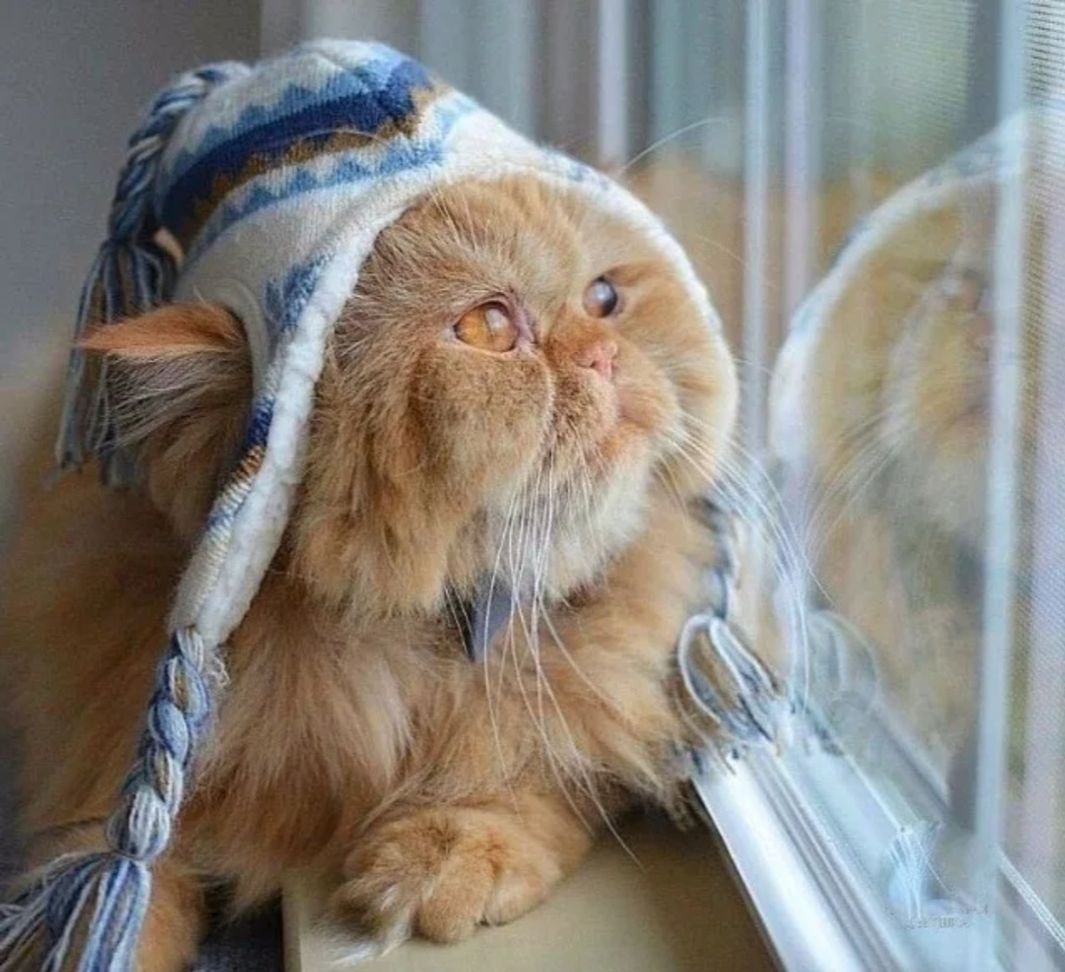 Фото с просторов интернета.