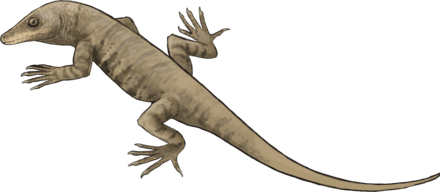 Реконструкция палигуаны.