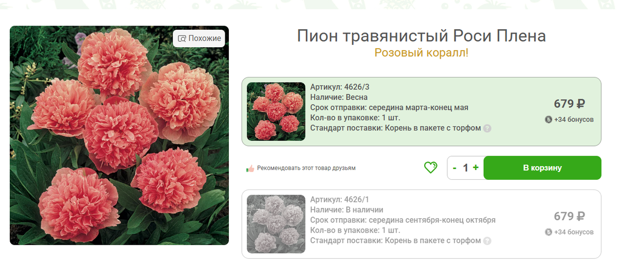 Фото сс сайте https://www.ncsemena.ru/