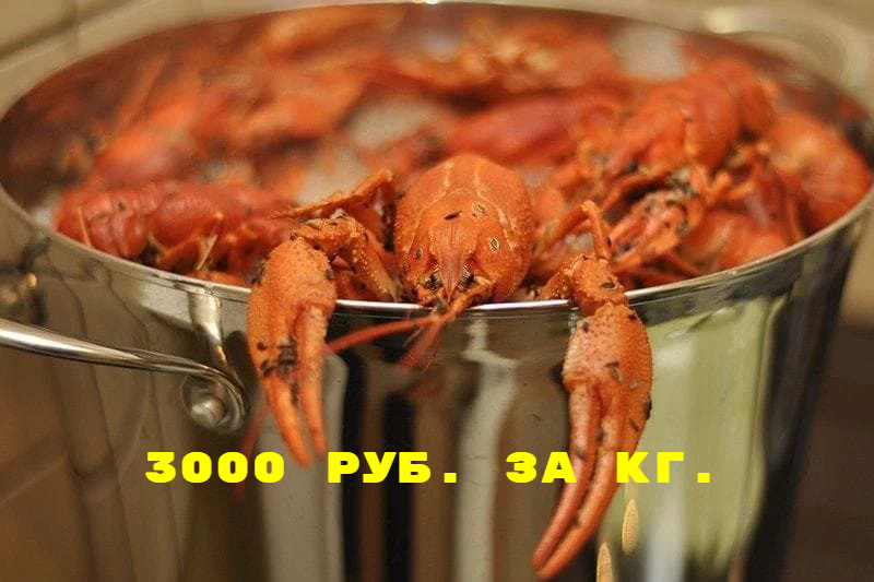 Почему раки стоят дороже Заморских креветок?