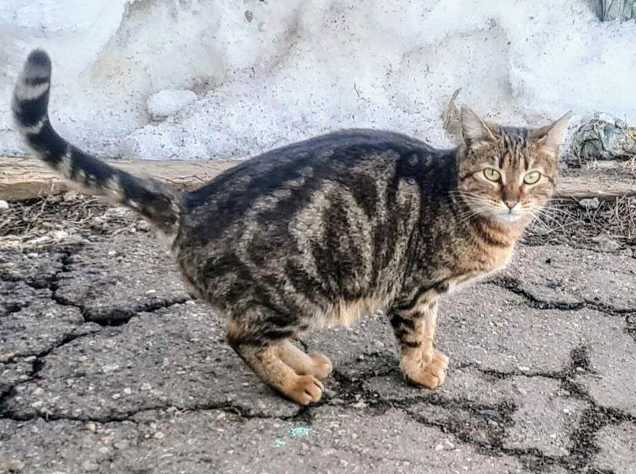 Ьакой Агата была на улице