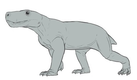 Промосхорин.