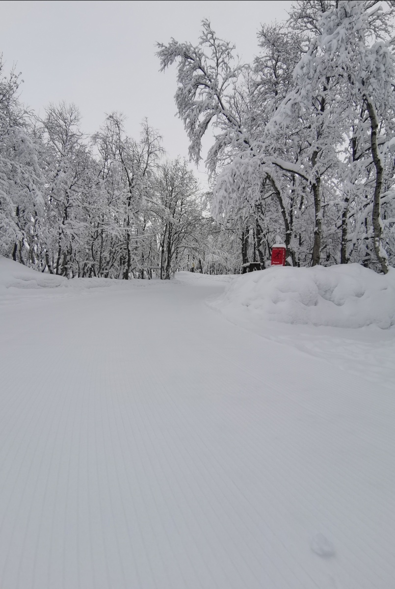 Видите, какой "вельвет")) 