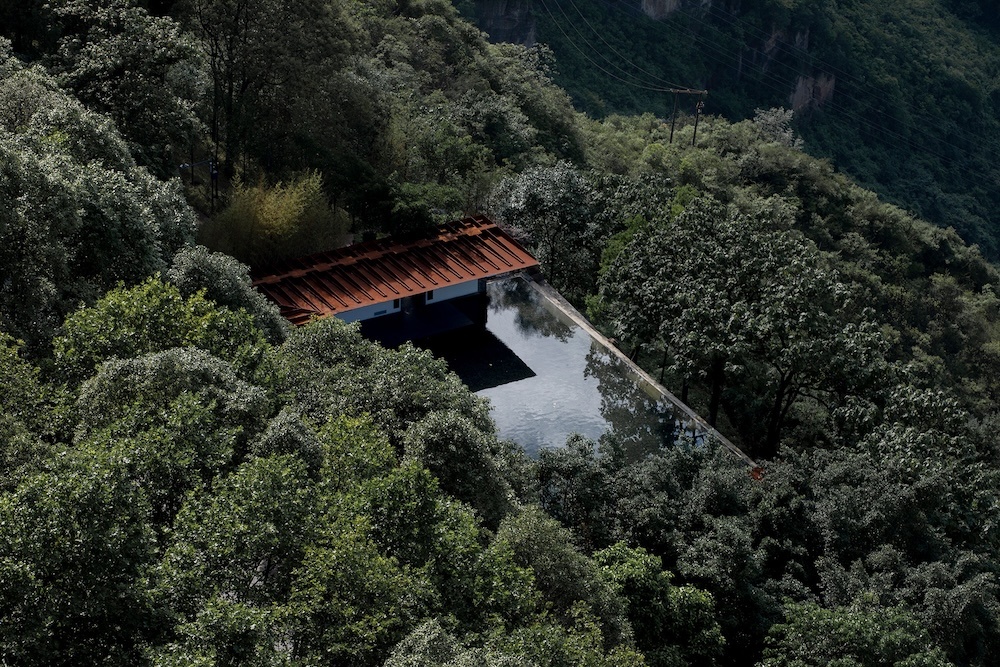    Притцкеровская премия назвала победителя этого года (фото 1)