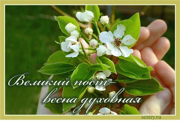 Источник: Яндекс. Картинки