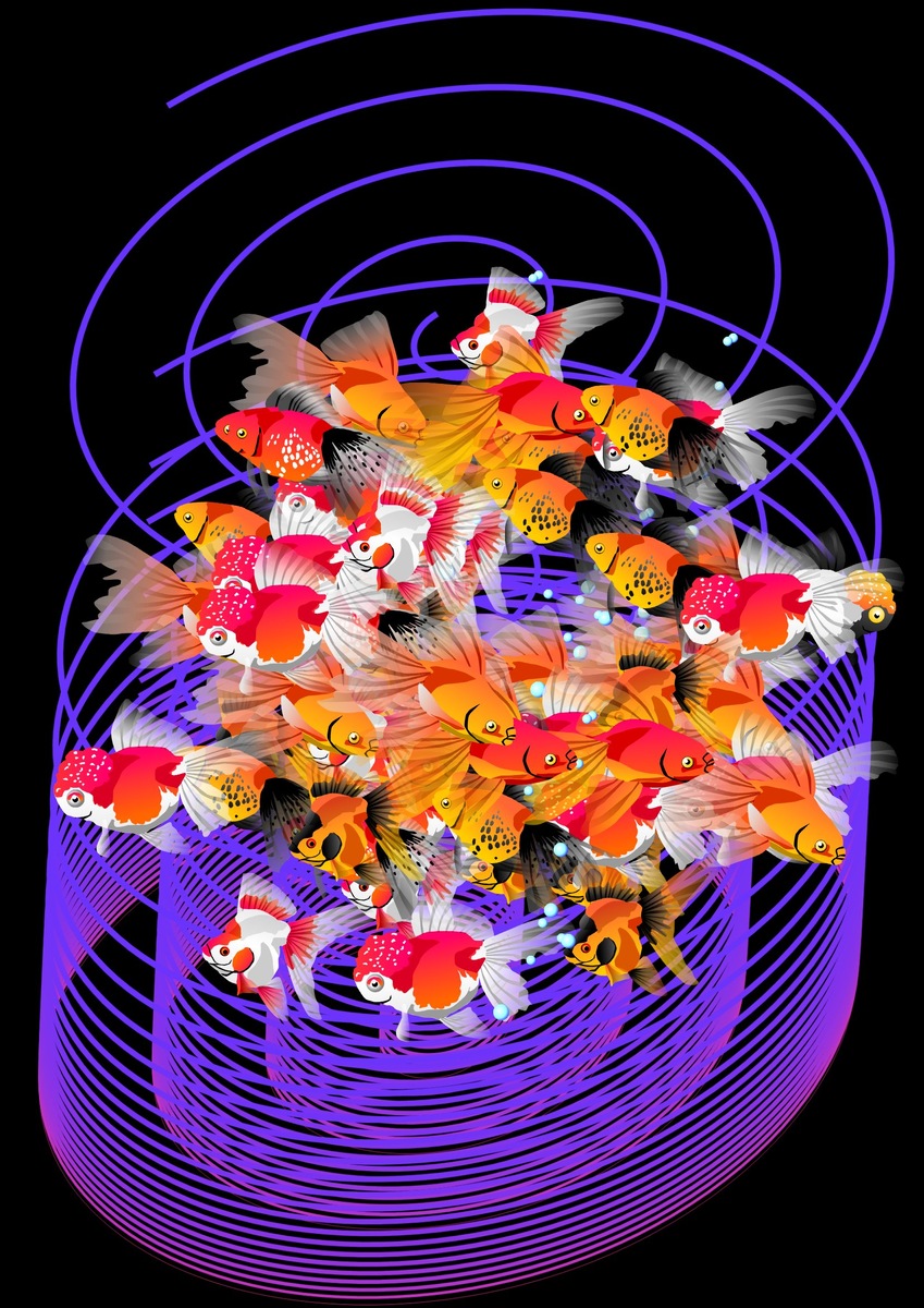 Иллюстрация автора 