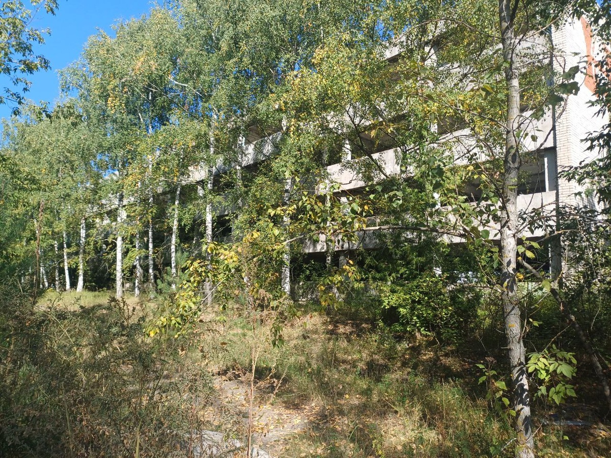 НИИ с лицевой стороны