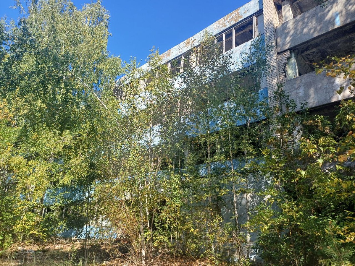 НИИ с лицевой стороны