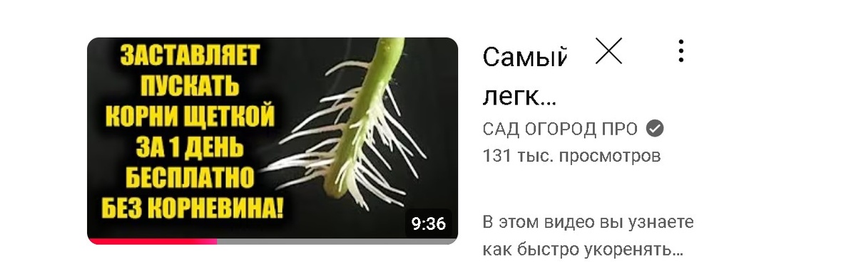Скриншот заставки видео
