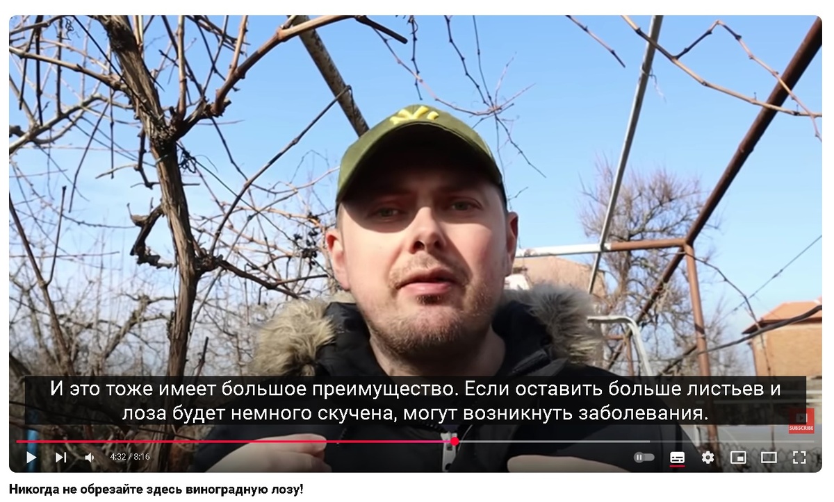 Скриншот из ранее опубликованной статьи 