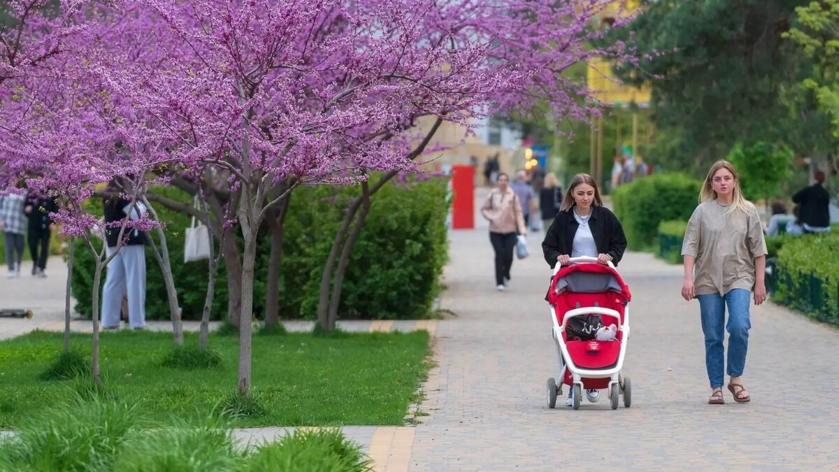     Источник: ЦПКиО