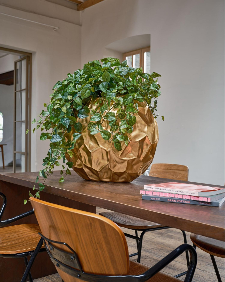 Кашпо и растения TREEZ Collection