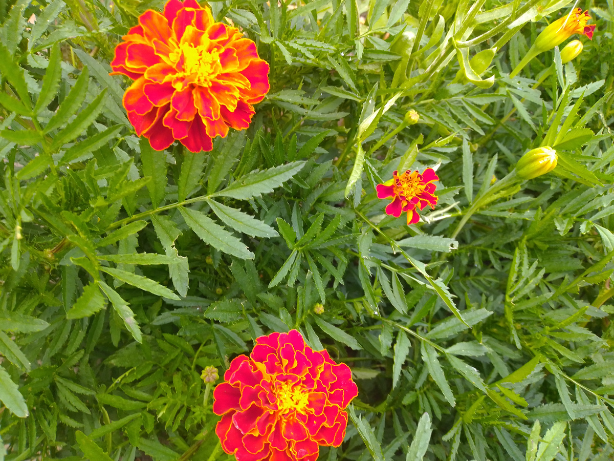 фото личное 